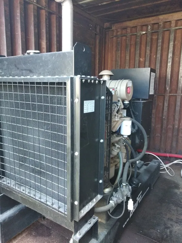 Техническое обслуживание дизель-электростанции Cummins, 60 кВА, г. Екатеринбург