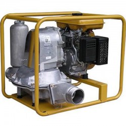 Subaru-Robin PTG 310